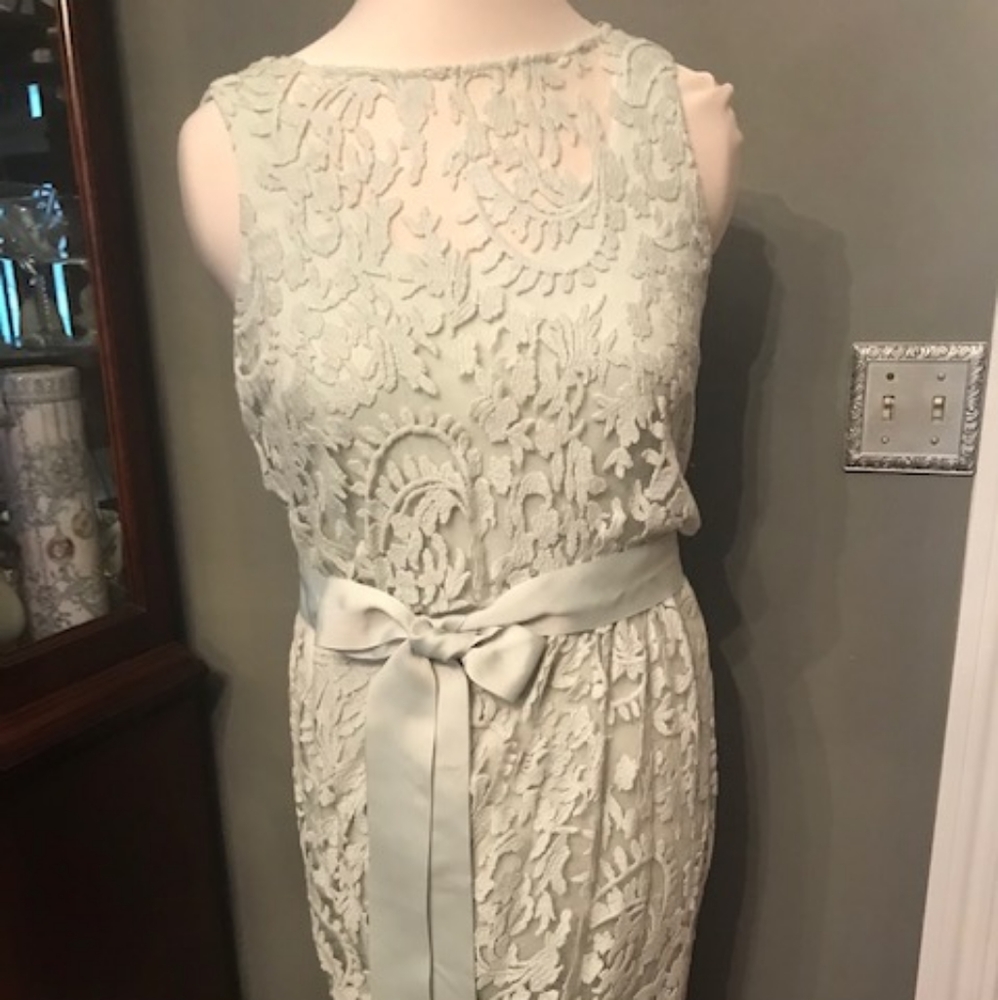 Adrianna Papell Pale Sage Green Knit Lace Dress